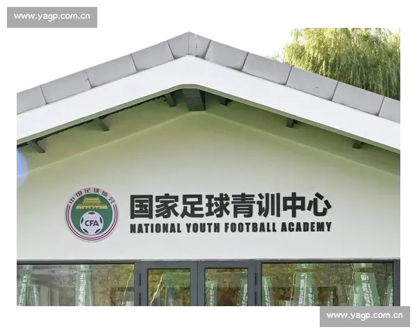 什么是足球世界杯及其历史意义规则发展与全球影响解析