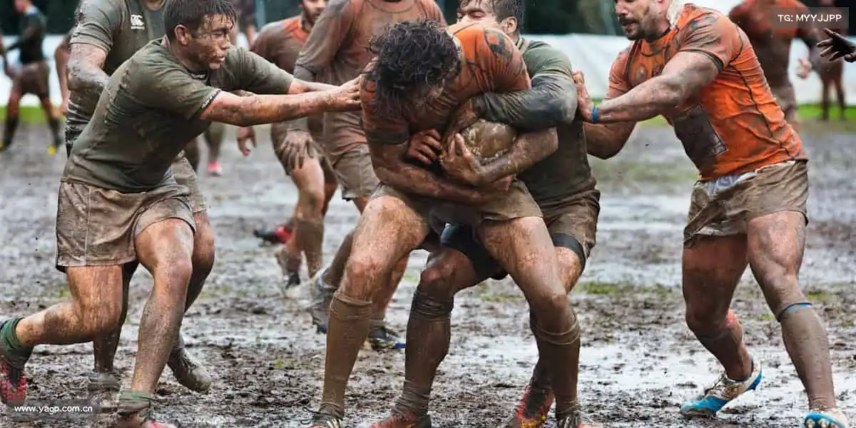 为什么选择我们